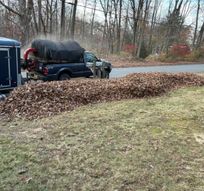 Leaf cleanup 1
